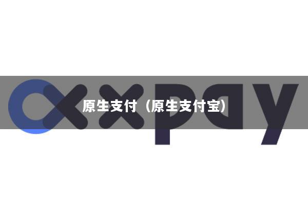 原生支付（原生支付宝）